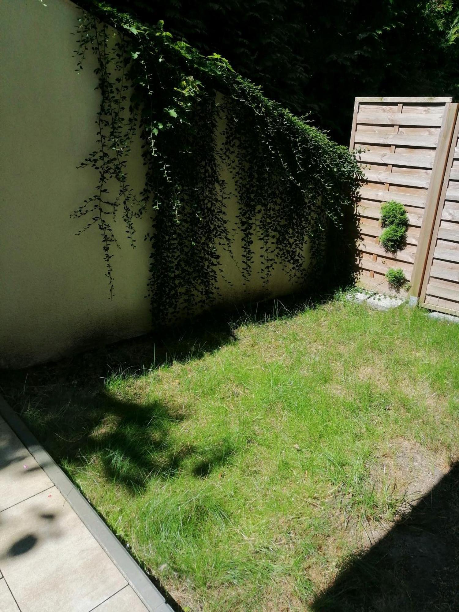 Apartament Jasne Blonia シュチェチン エクステリア 写真